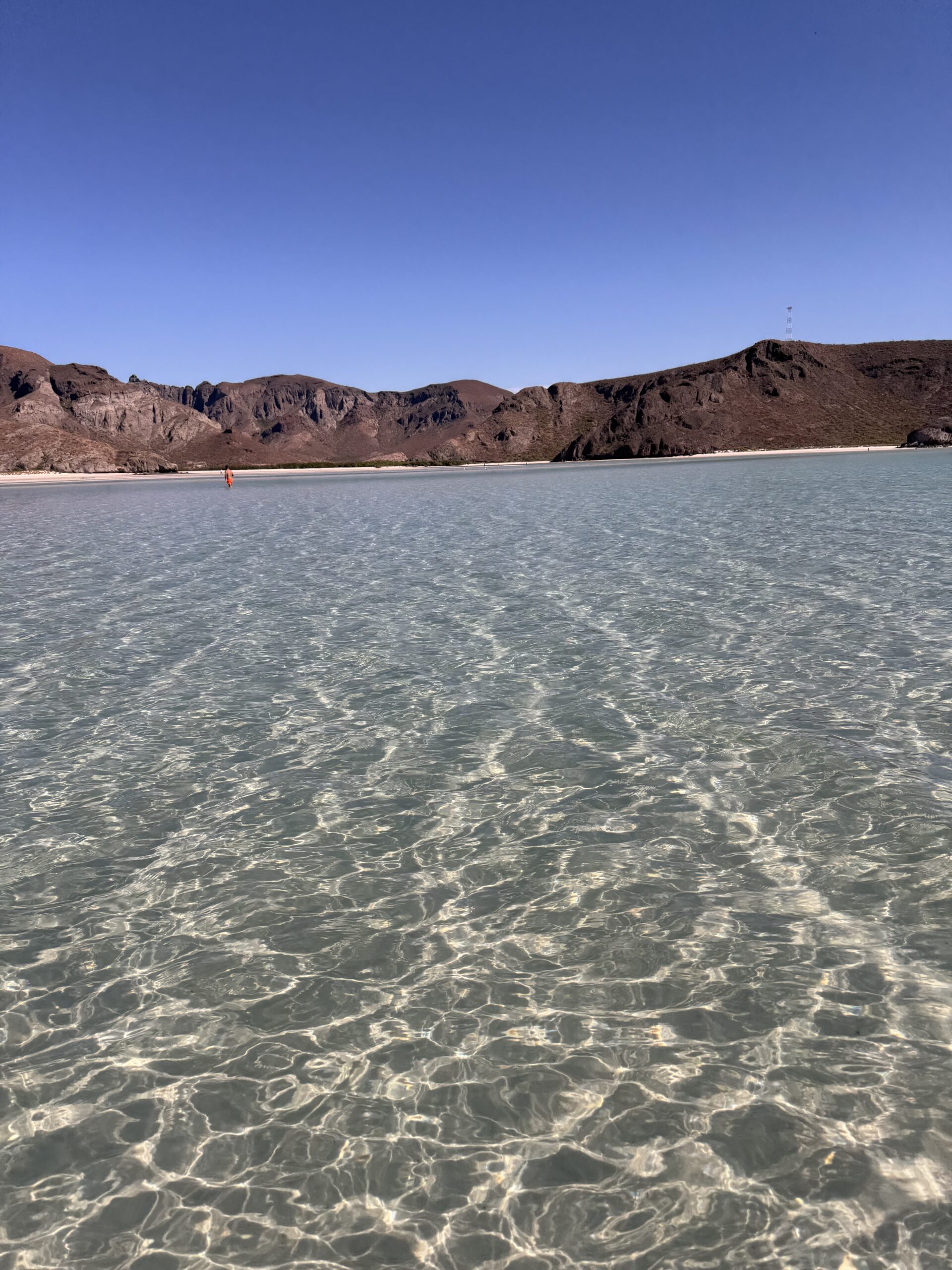 6F136A24 E5E0 4CF9 BA81 B7EAF66F5C84 scaled