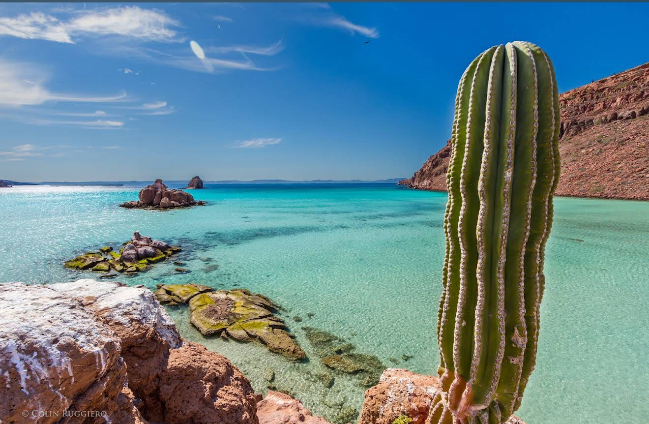 7C1C0B9B 9054 44D3 89F9 234DB82D1DC4