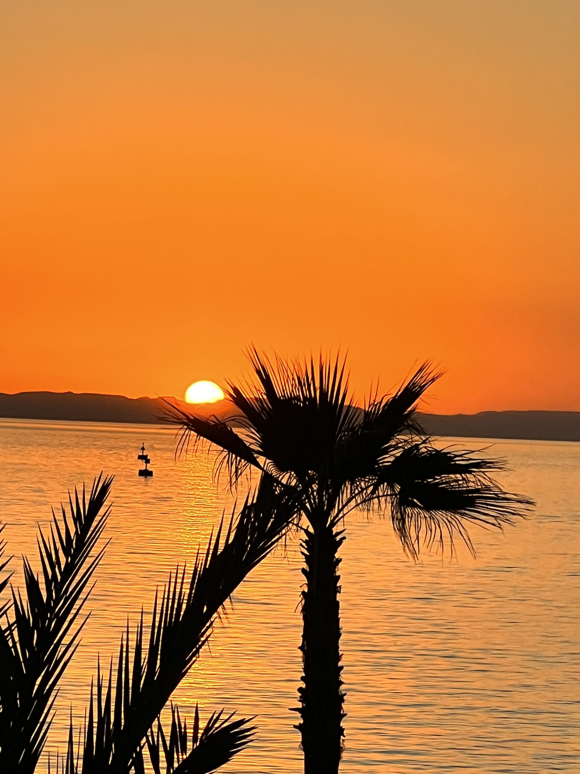 94CA59E4 1FF8 4A5E 9AE1 05B09213BAD8 scaled