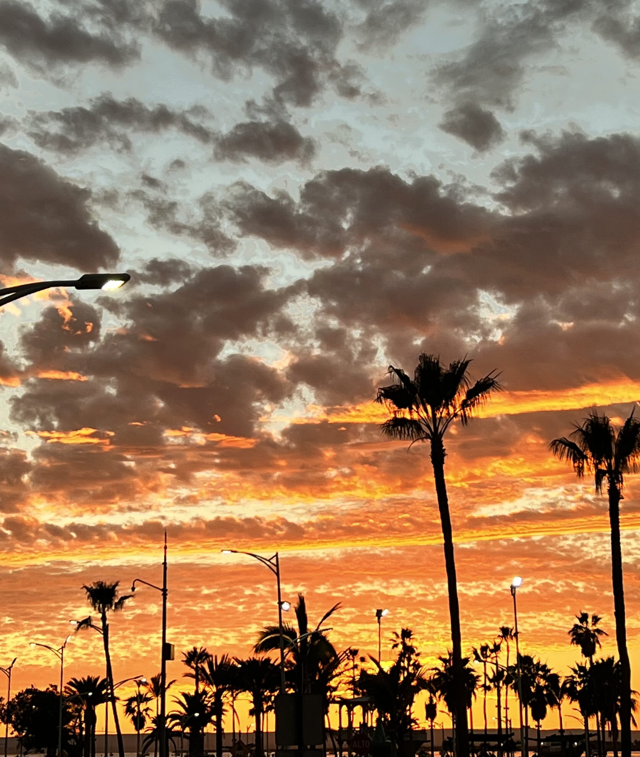 D2A3BE1F CFA9 4895 B85C EB3F98D2B61F scaled