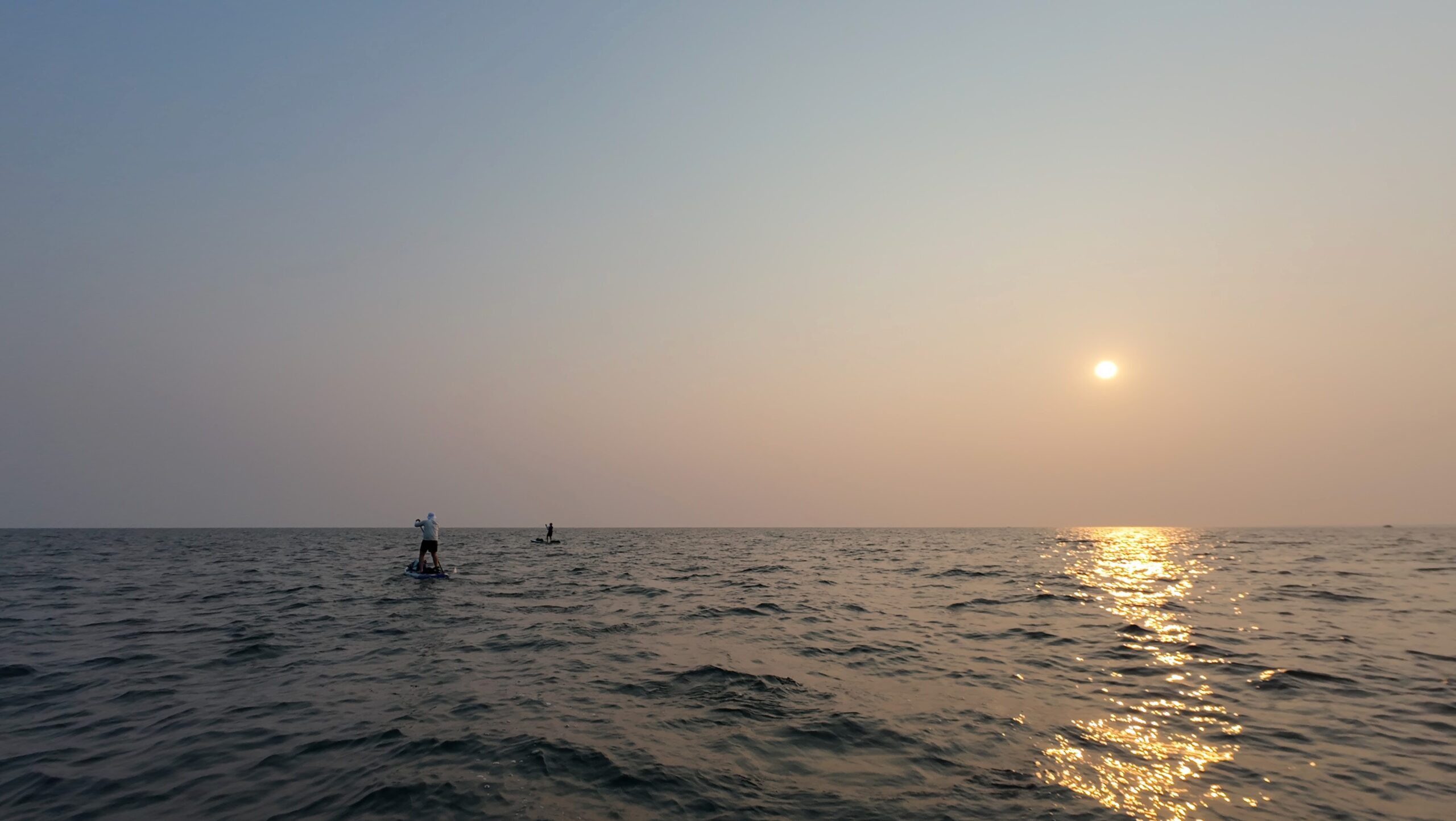 dji mimo 20250803 072712 0 1754408754466 photo scaled