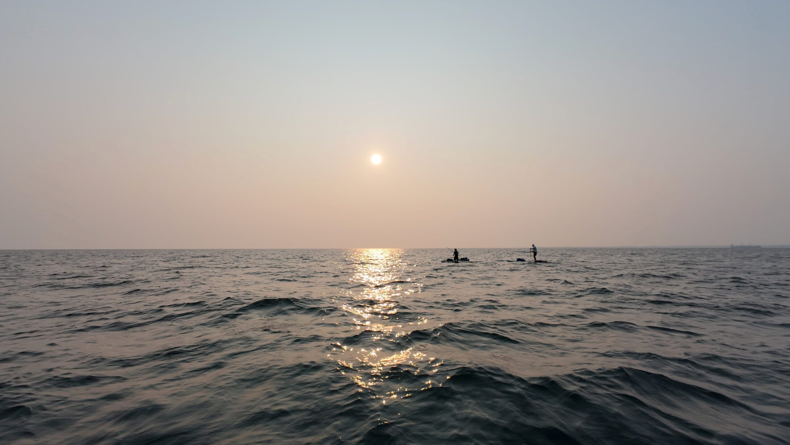 dji mimo 20250803 074714 0 1754408739219 photo scaled