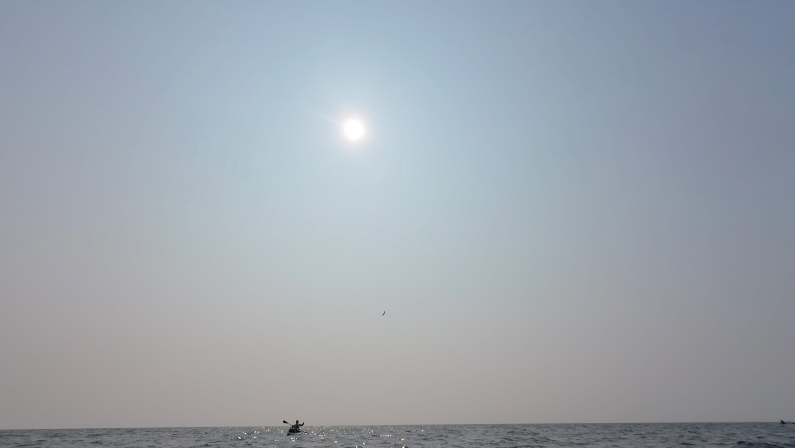 dji mimo 20250803 103728 0 1754408371582 photo scaled