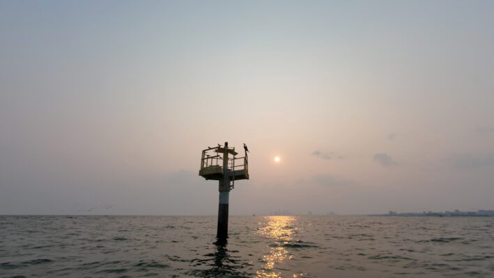 dji mimo 20250803 190536 0 1754429241614 photo scaled